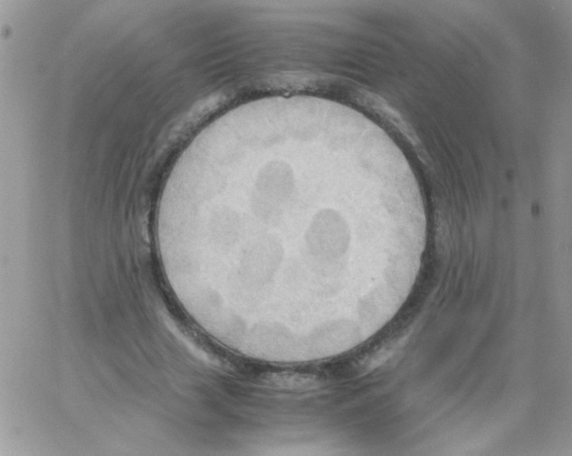 X0000064040633200602242321