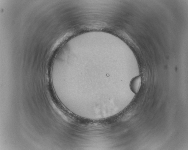 X0000064040634200602242321