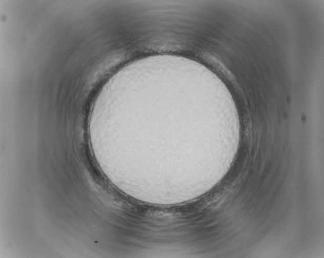 X0000064040635200602242321