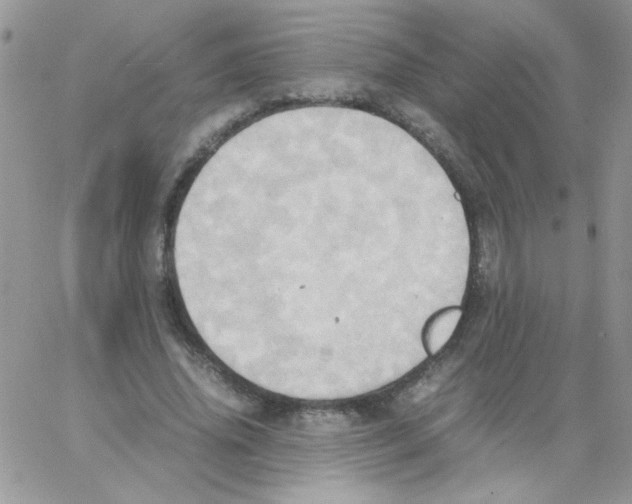 X0000064040636200602242321