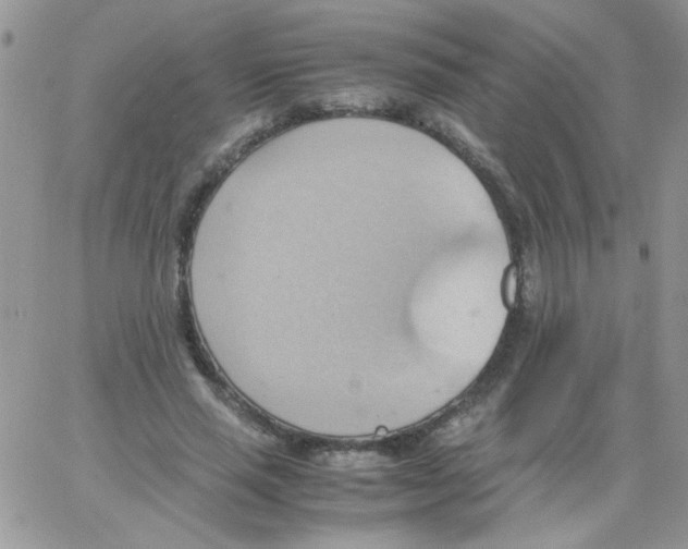 X0000064040637200602242321