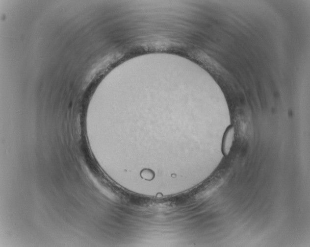 X0000064040638200602242321