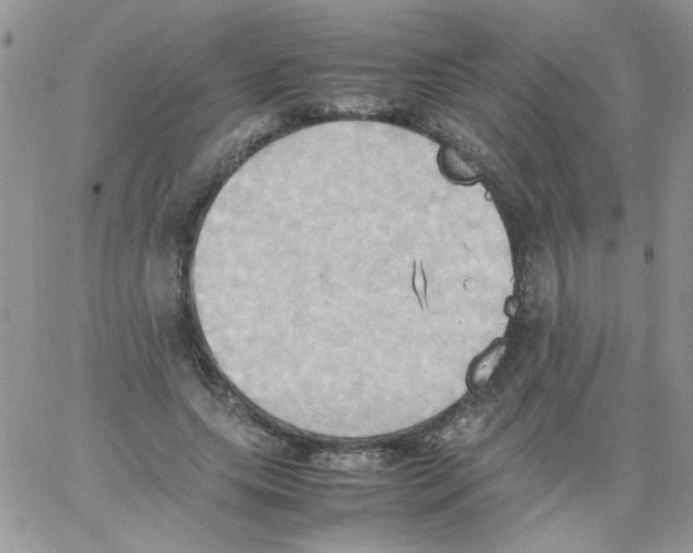 X0000064040639200602242321