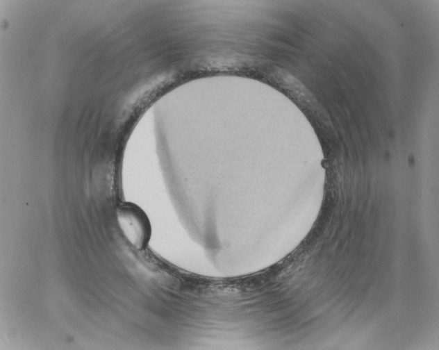 X0000064040640200602242321