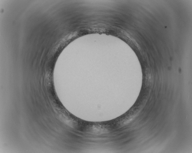 X0000064040641200602242321