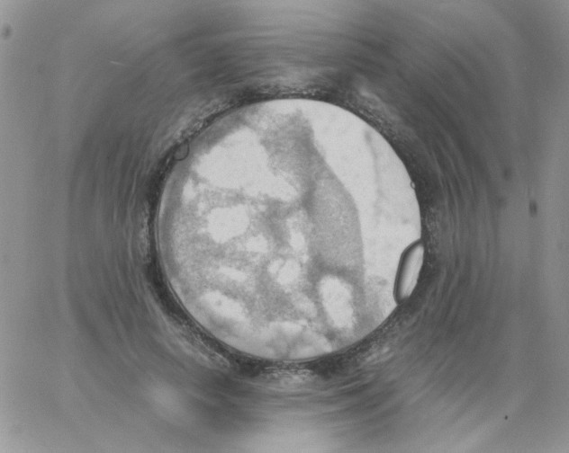 X0000064040642200602242321