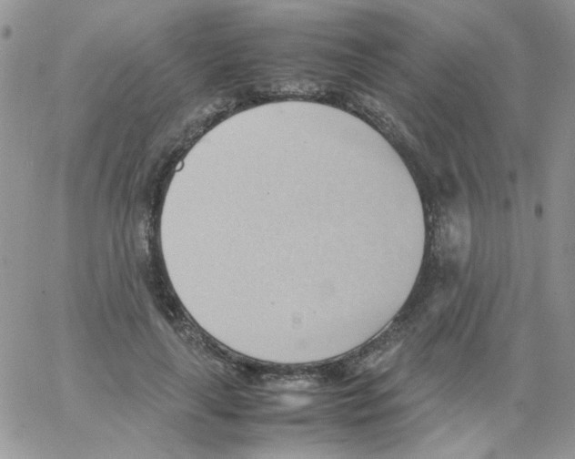 X0000064040643200602242321