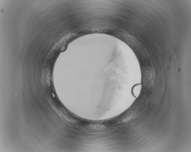 X0000064040644200602242321