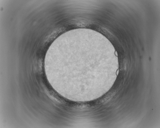 X0000064040646200602242321