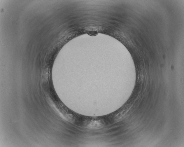 X0000064040647200602242321