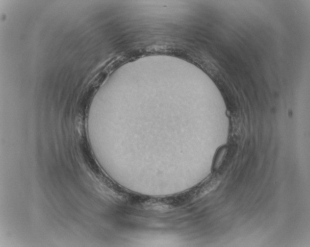 X0000064040648200602242321