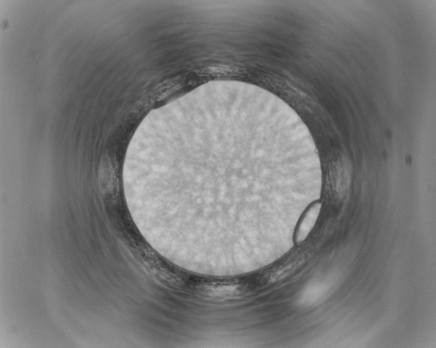 X0000064040651200602242322