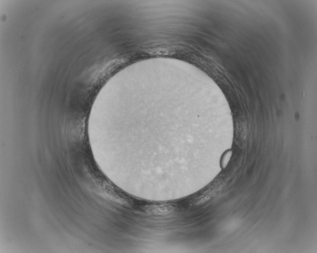 X0000064040652200602242322