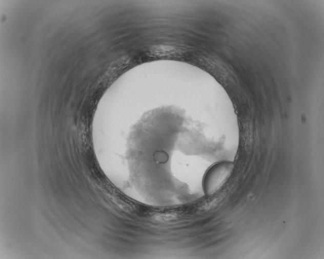 X0000064040653200602242322