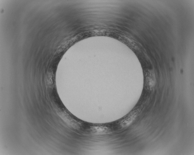 X0000064040654200602242322