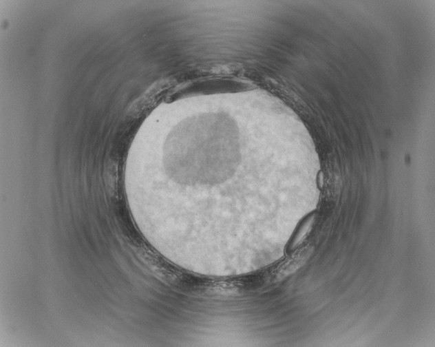 X0000064040656200602242322