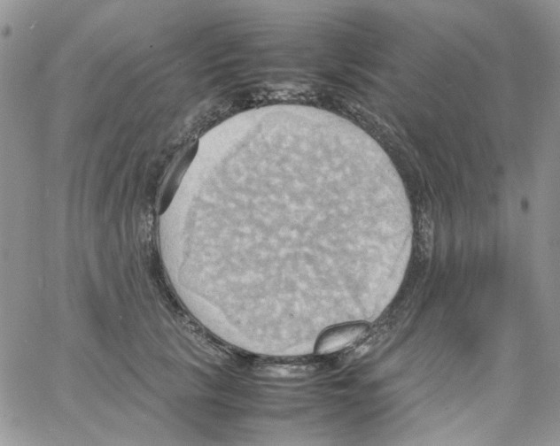 X0000064040657200602242322