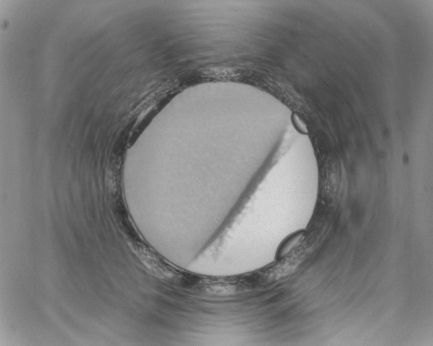 X0000064040658200602242322