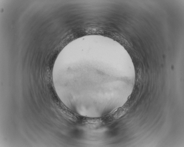 X0000064040659200602242322