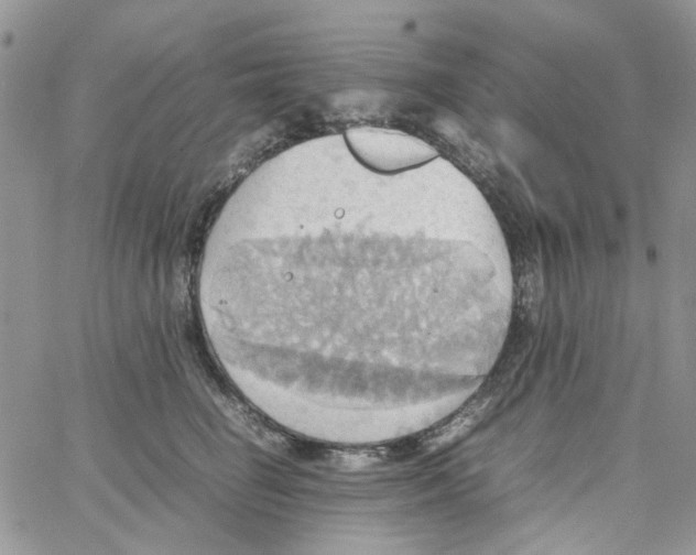 X0000064040662200602242322