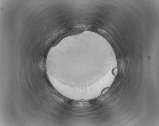 X0000064040663200602242322