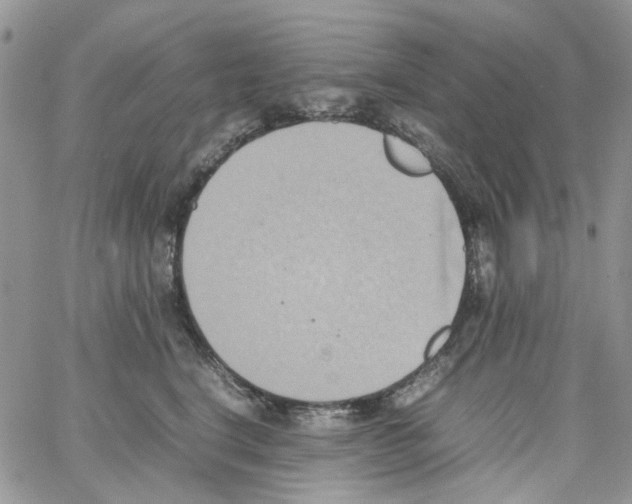 X0000064040664200602242322