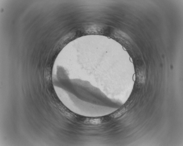 X0000064040665200602242322