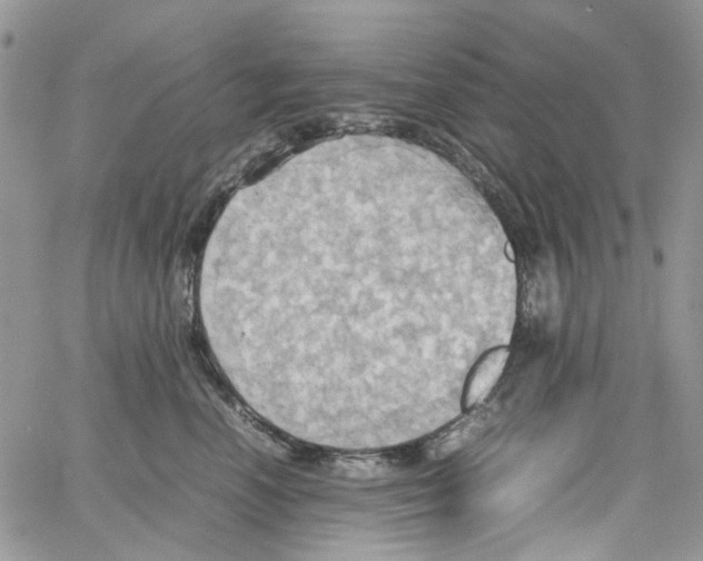 X0000064040666200602242322