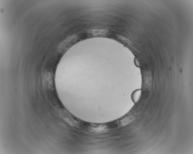 X0000064040667200602242322