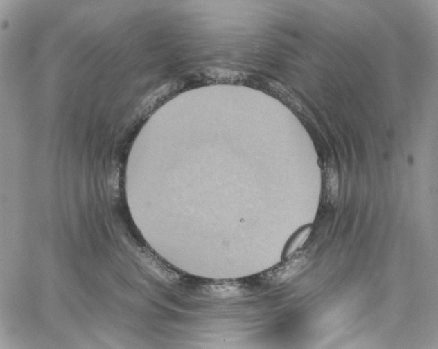 X0000064040668200602242322