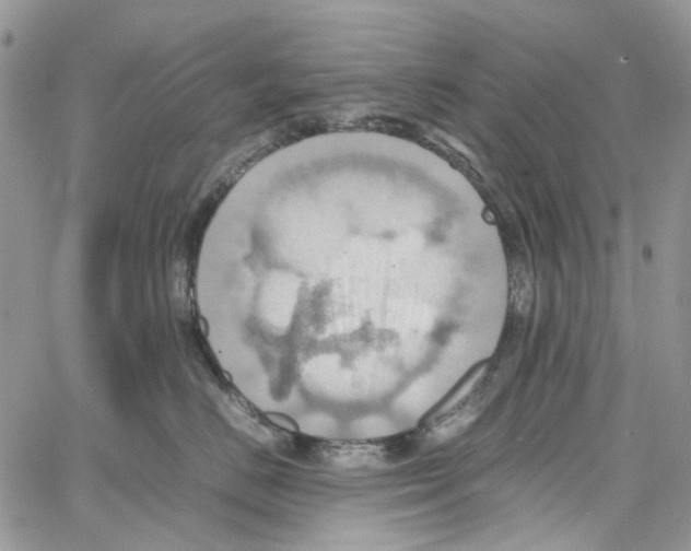 X0000064040670200602242322