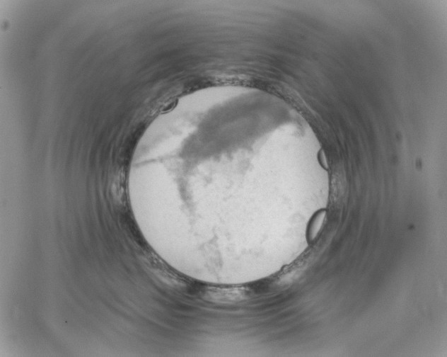 X0000064040671200602242322