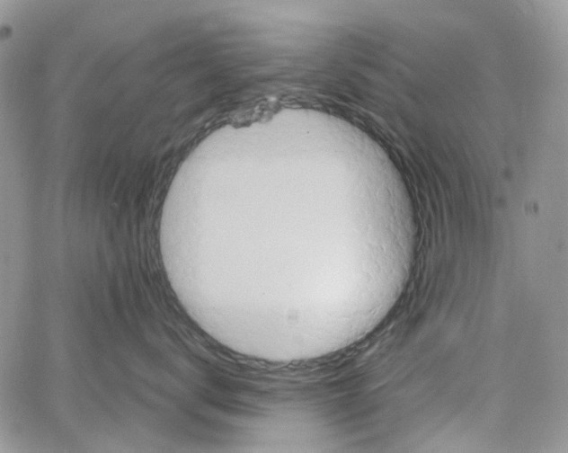 X0000064040672200602242322