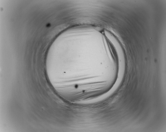 X0000064040673200602242321