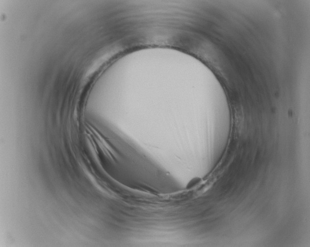 X0000064040674200602242321