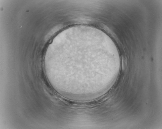 X0000064040675200602242321