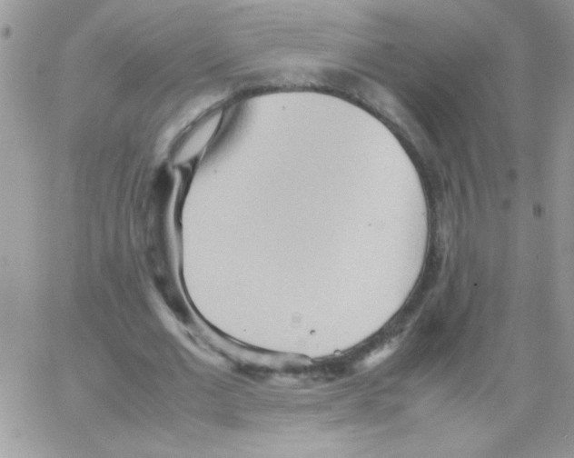 X0000064040677200602242321