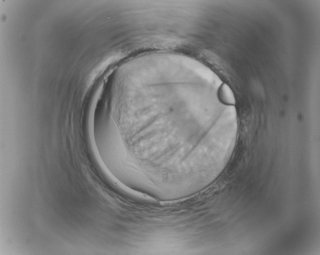 X0000064040679200602242321