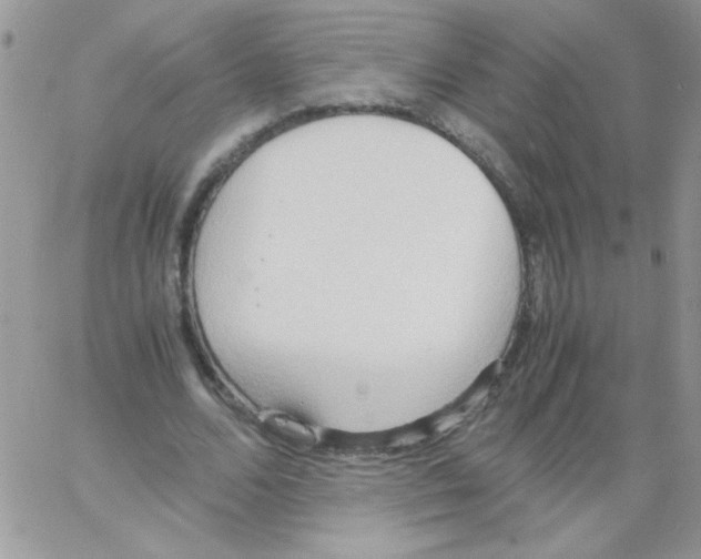 X0000064040680200602242321