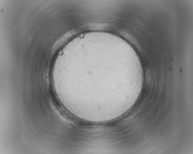 X0000064040682200602242321