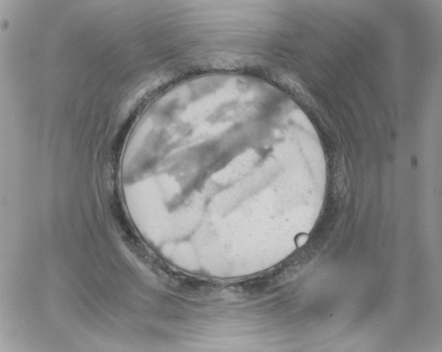 X0000064040683200602242321