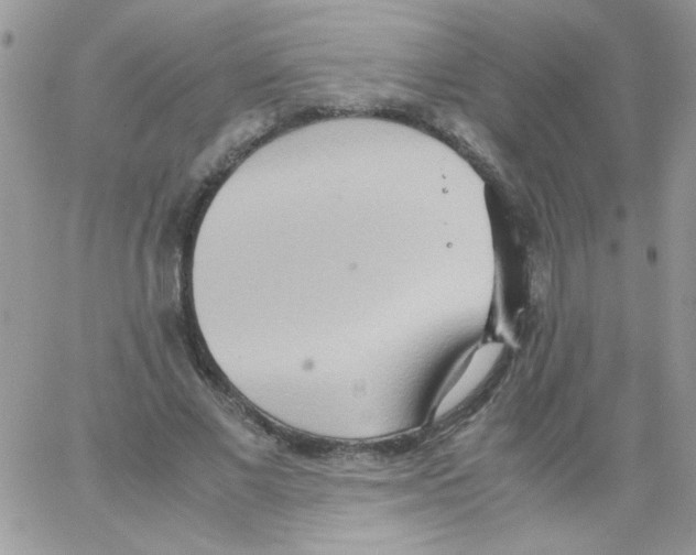 X0000064040685200602242321