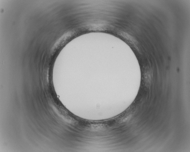 X0000064040686200602242321