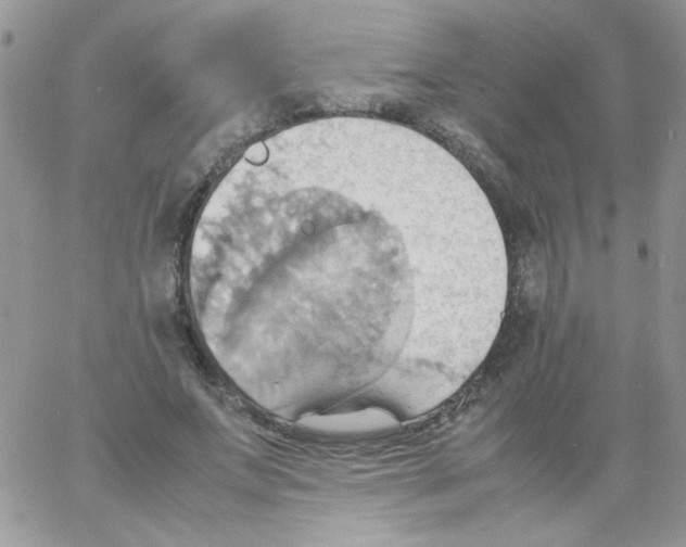 X0000064040687200602242321