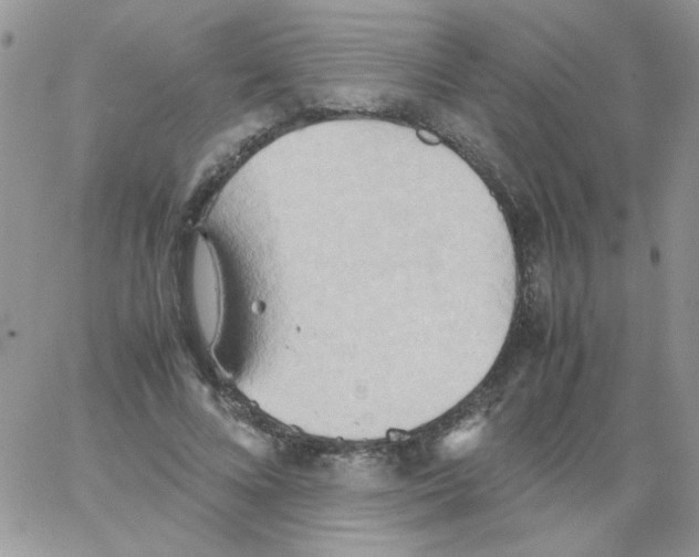 X0000064040688200602242321