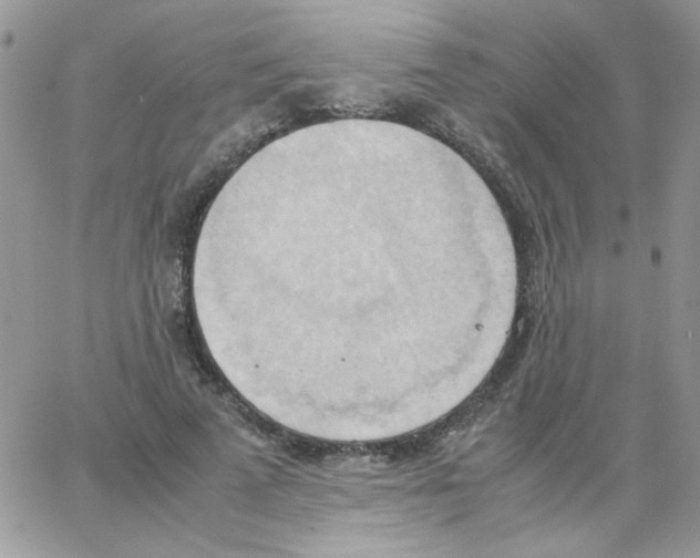 X0000064040689200602242321