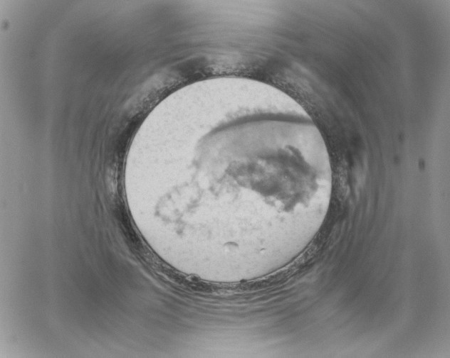 X0000064040691200602242321