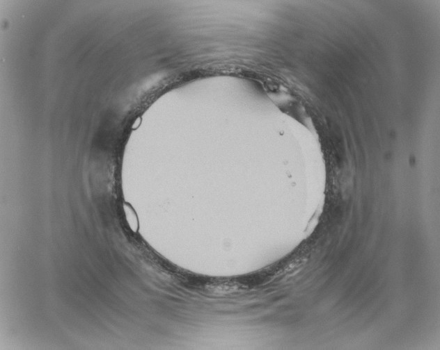 X0000064040693200602242321