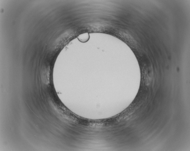 X0000064040694200602242321