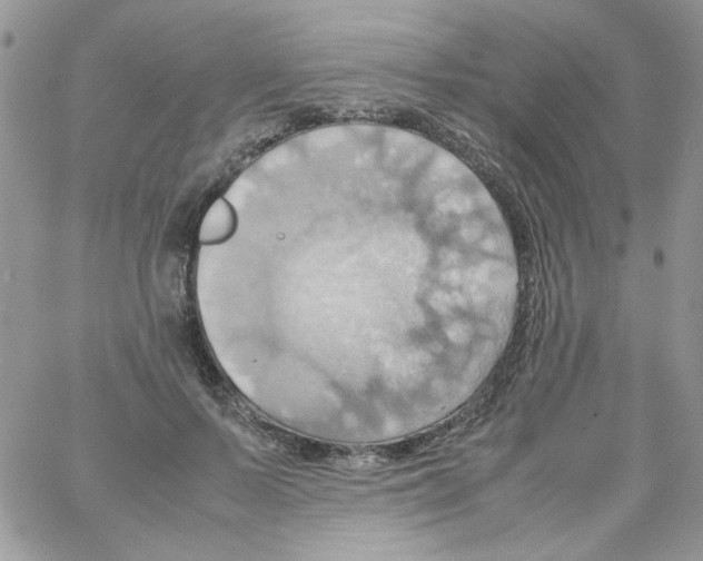 X0000064040695200602242321